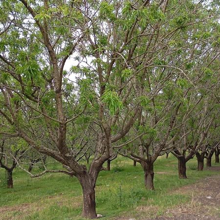 Casas Rurales Cortijo La Canada Estepa Zewnętrze zdjęcie