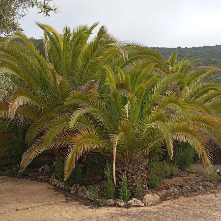 Casas Rurales Cortijo La Canada Estepa Zewnętrze zdjęcie