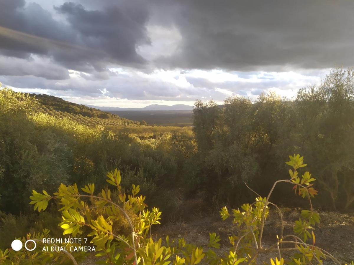 Casas Rurales Cortijo La Canada Estepa Zewnętrze zdjęcie