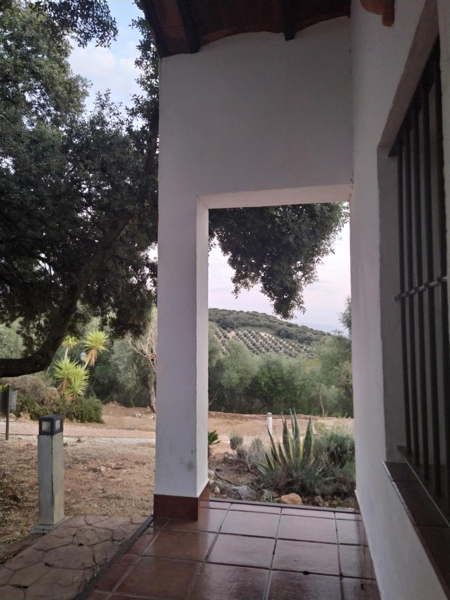 Casas Rurales Cortijo La Canada Estepa Pokój zdjęcie