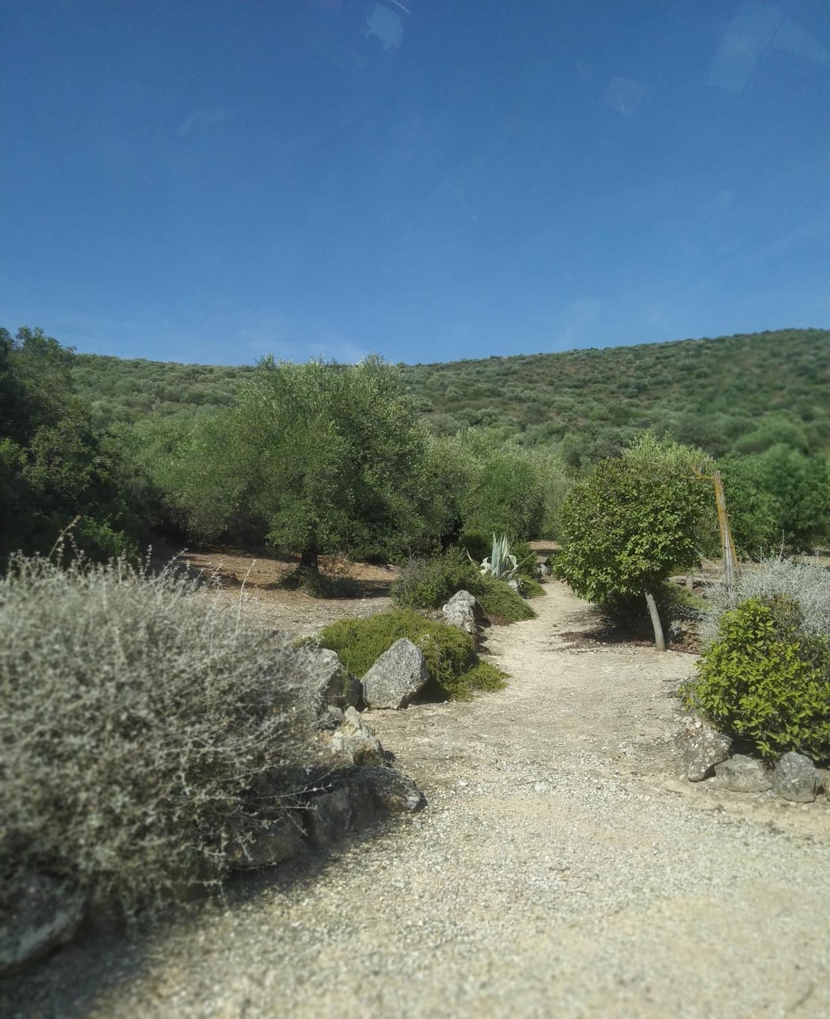 Casas Rurales Cortijo La Canada Estepa Pokój zdjęcie