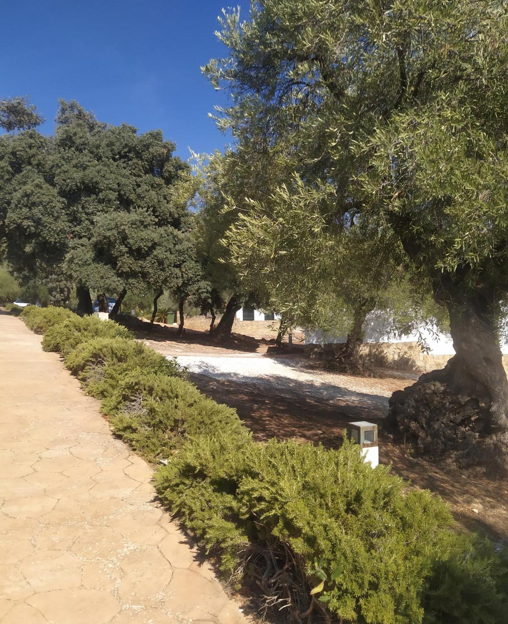 Casas Rurales Cortijo La Canada Estepa Pokój zdjęcie