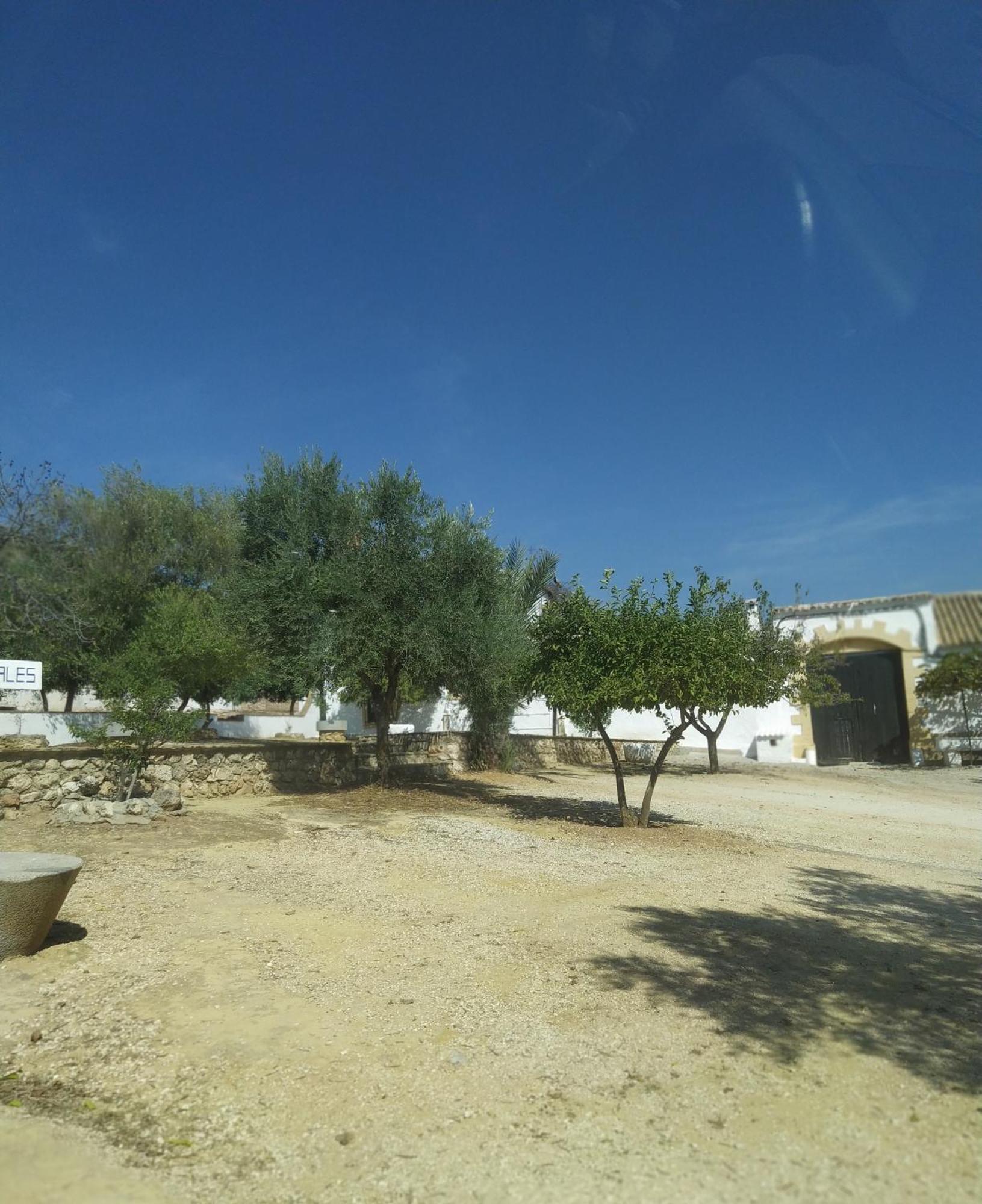 Casas Rurales Cortijo La Canada Estepa Pokój zdjęcie