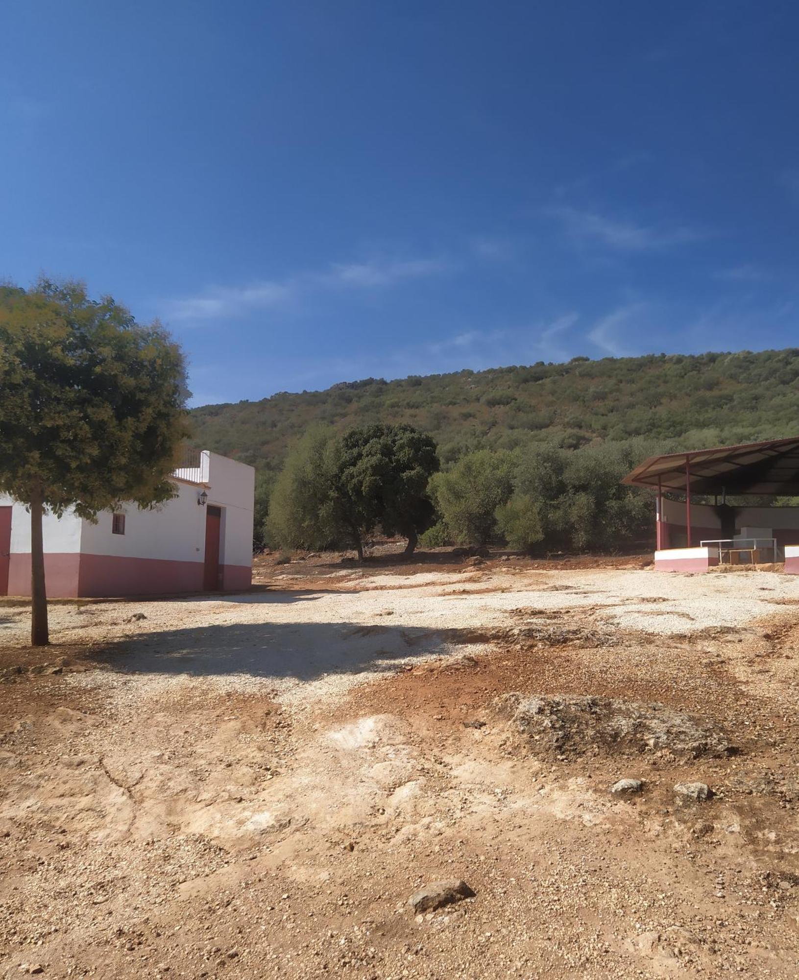 Casas Rurales Cortijo La Canada Estepa Pokój zdjęcie