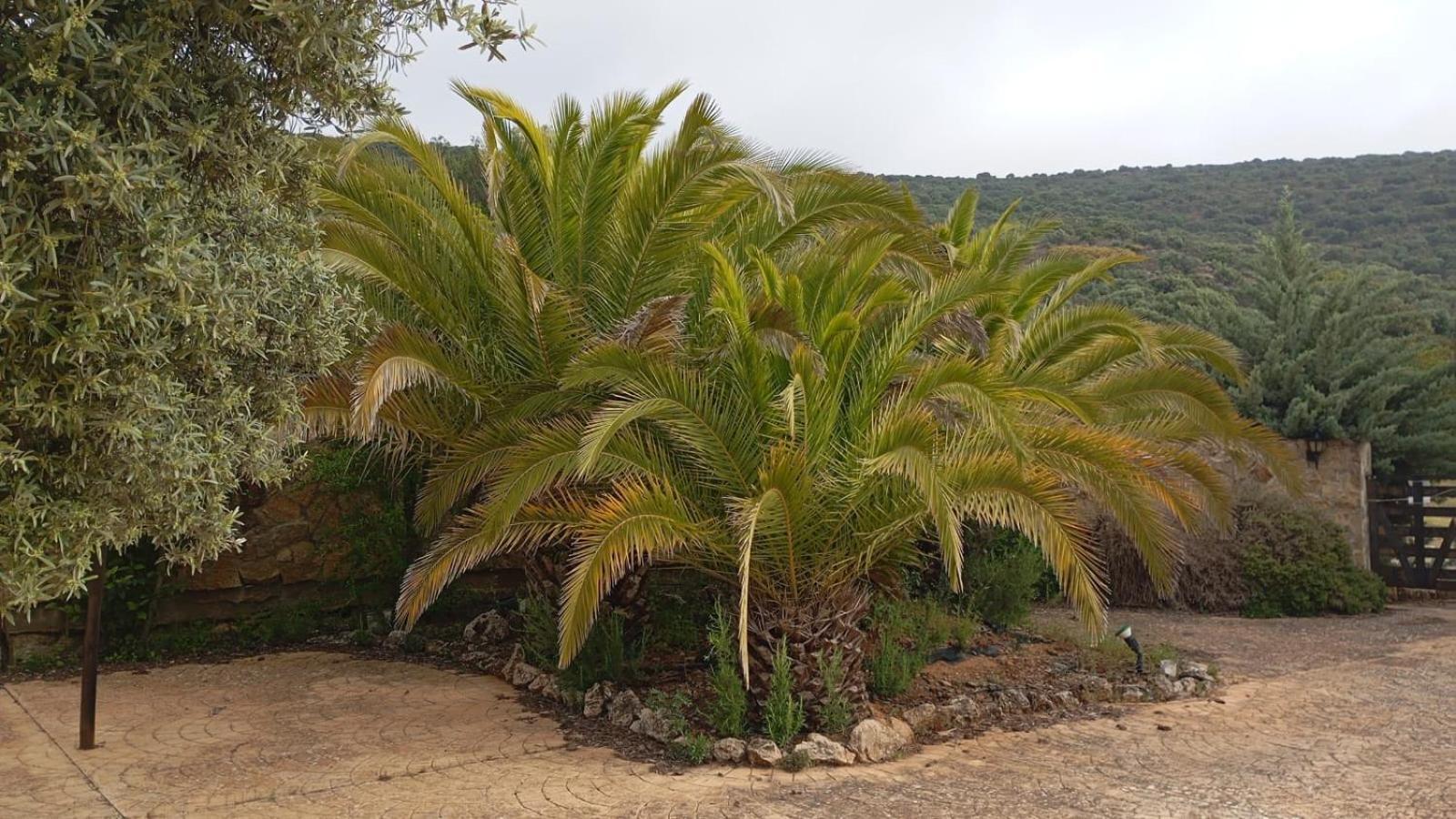 Casas Rurales Cortijo La Canada Estepa Zewnętrze zdjęcie