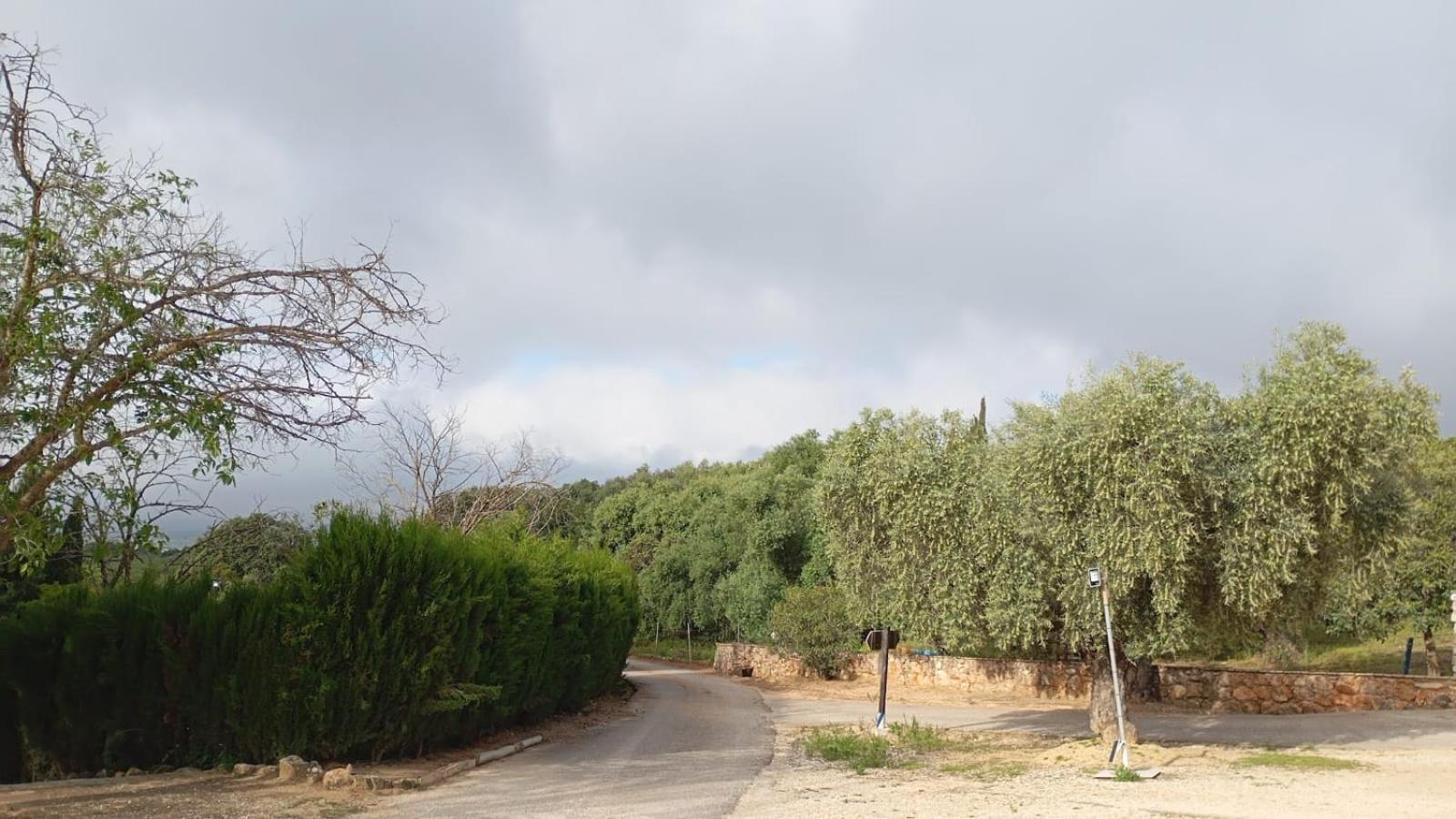 Casas Rurales Cortijo La Canada Estepa Zewnętrze zdjęcie