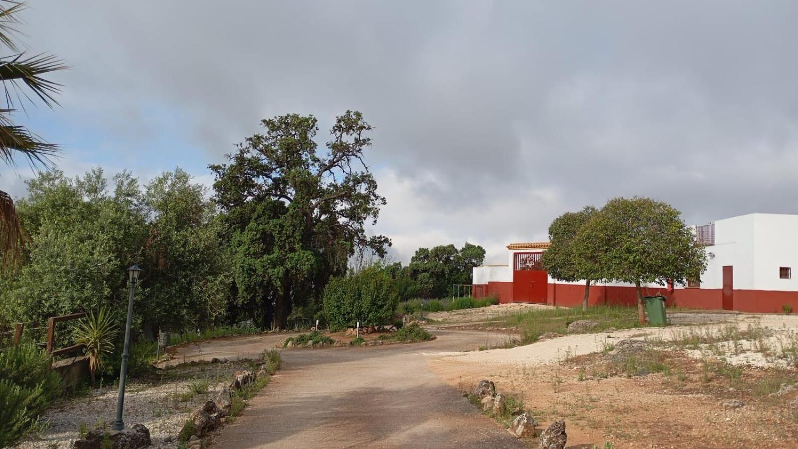 Casas Rurales Cortijo La Canada Estepa Zewnętrze zdjęcie