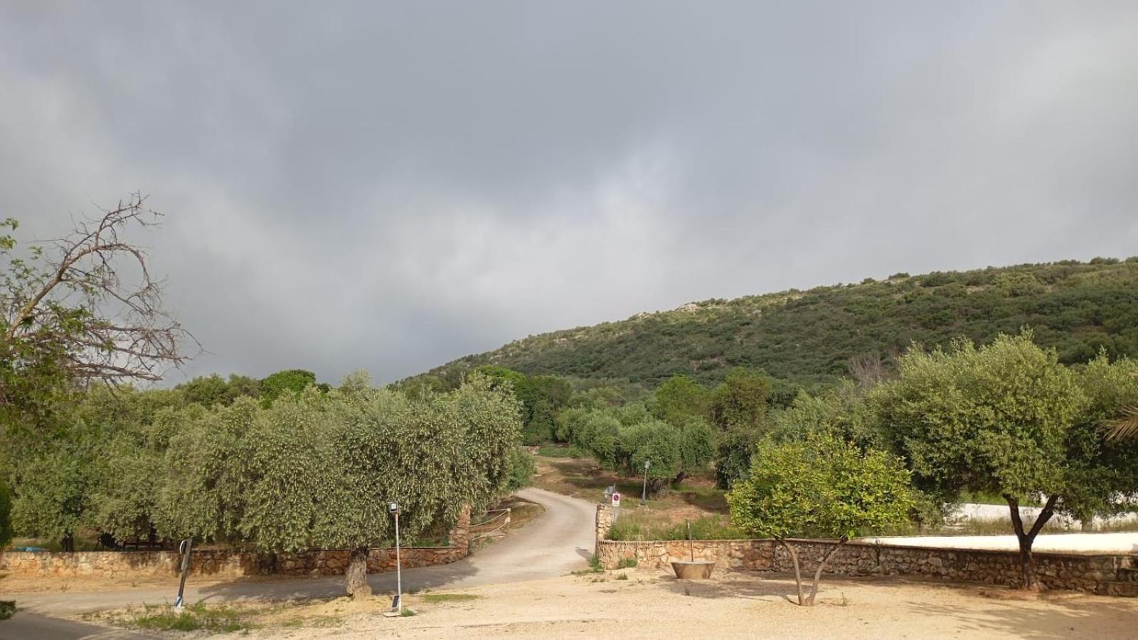 Casas Rurales Cortijo La Canada Estepa Zewnętrze zdjęcie