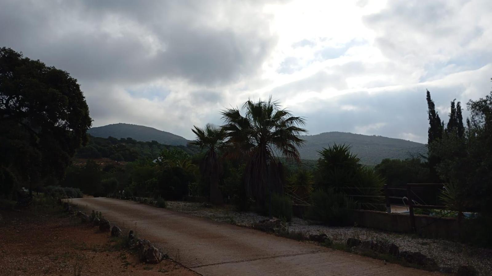 Casas Rurales Cortijo La Canada Estepa Zewnętrze zdjęcie