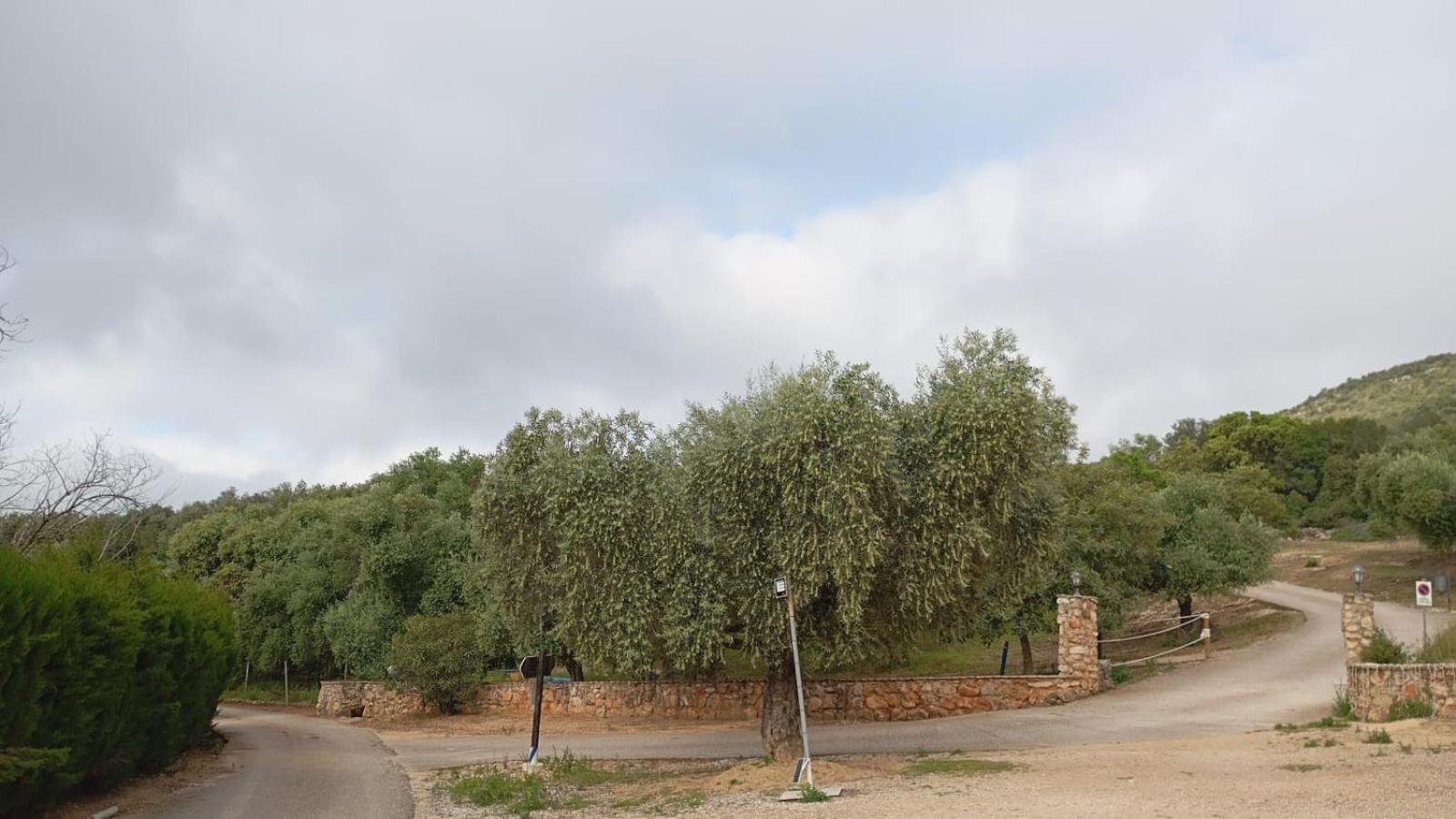 Casas Rurales Cortijo La Canada Estepa Zewnętrze zdjęcie