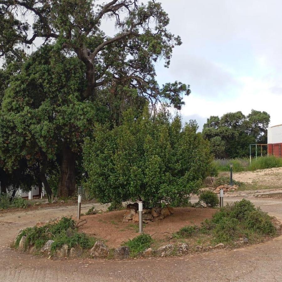 Casas Rurales Cortijo La Canada Estepa Zewnętrze zdjęcie