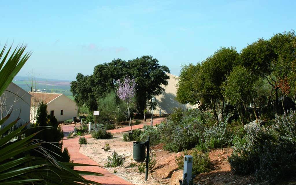 Casas Rurales Cortijo La Canada Estepa Zewnętrze zdjęcie