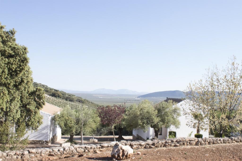 Casas Rurales Cortijo La Canada Estepa Zewnętrze zdjęcie